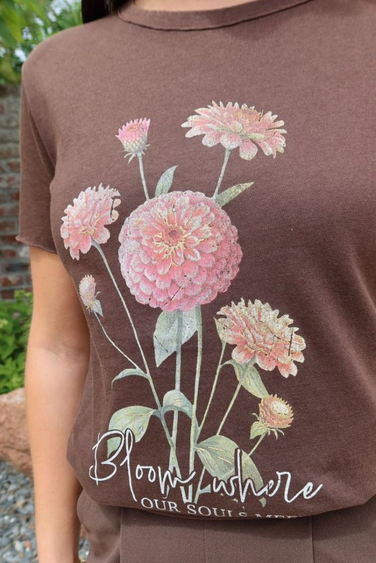T-shirt Lucy Marron Coffee B