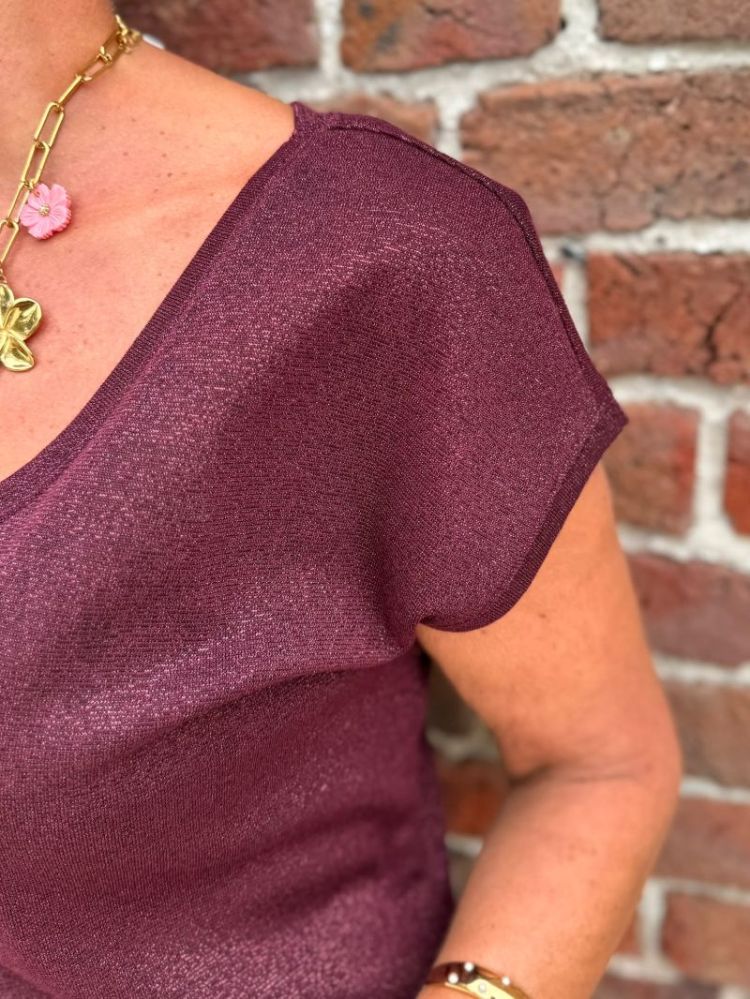 Blouse Silvery Prune